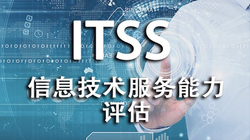 IT咨询公司价格表背后的考量因素
