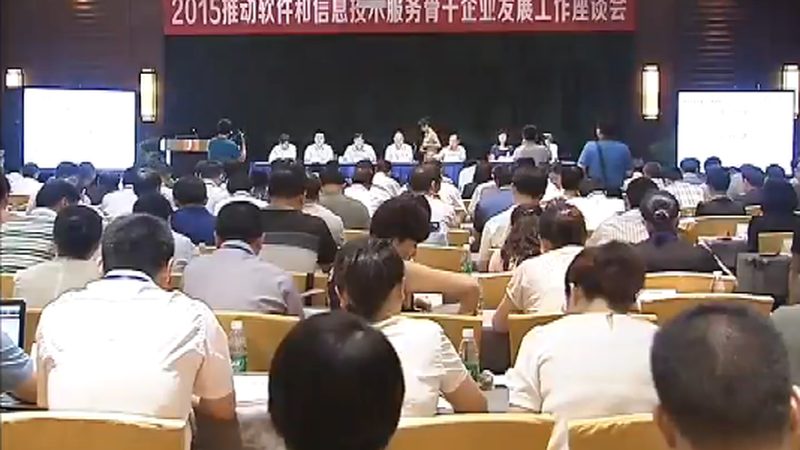 IT咨询服务流程模板：揭秘高效IT服务背后的秘密