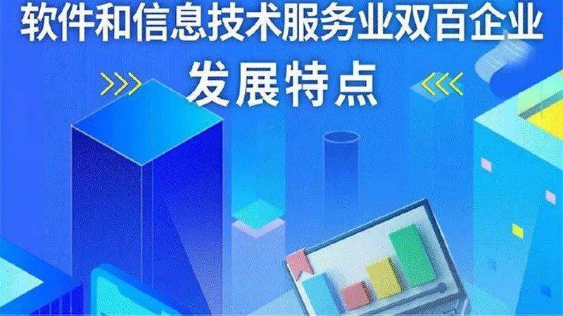 定制开发，信息技术服务合同的奥秘**