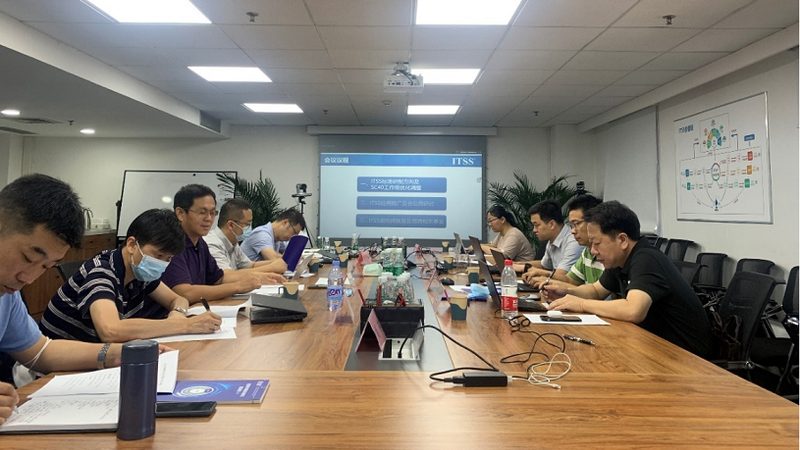 软件开发与系统集成：优缺点解析